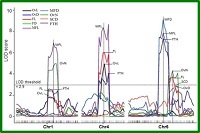image of a graph