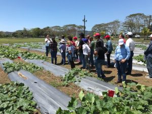 field day participants