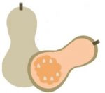 Squash illustration