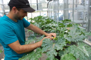 hands on squash